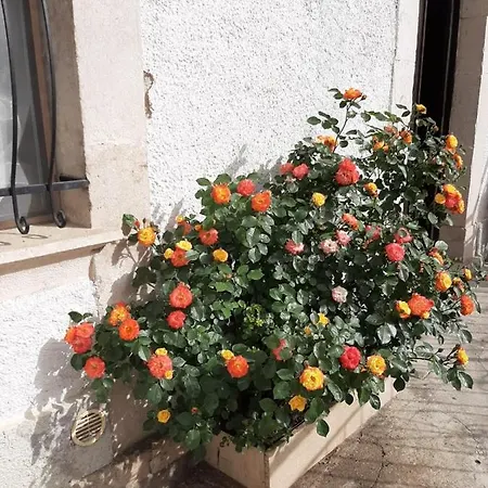 La Casa Dei Nonni San Donato Val di Comino